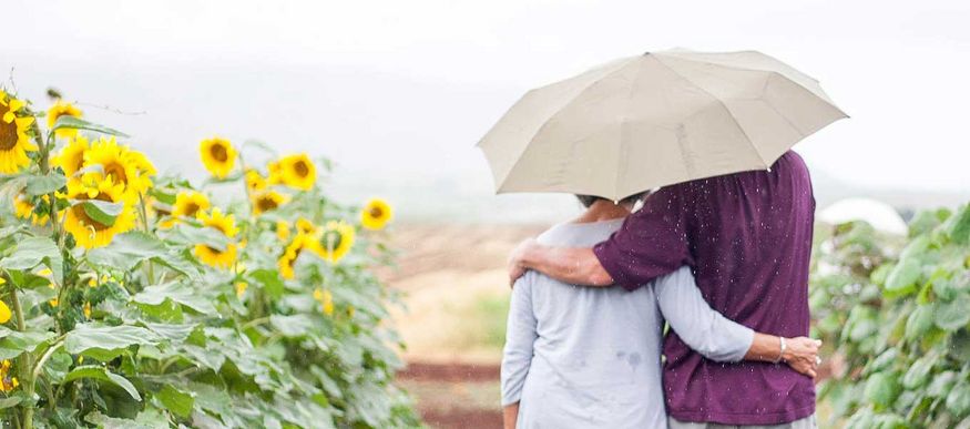 Paar mit Sonnenschirm vor einem Sonnenblumenfeld – Zahnbehandlung im Urlaub