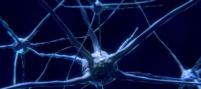DentNet Ratgeber - Künstliche Intelligenz in der Zahnmedizin DentNet Ratgeber - Künstliche Intelligenz in der Zahnmedizin