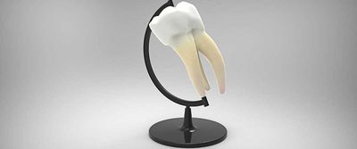 DentNet Ratgeber - Welttag der Mundgesundheit 2020