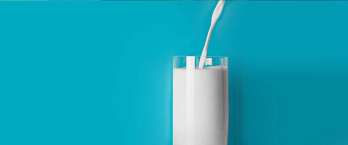 DentNet - Ratgeber - H-Milch rettet einen ausgeschlagenen Zahn