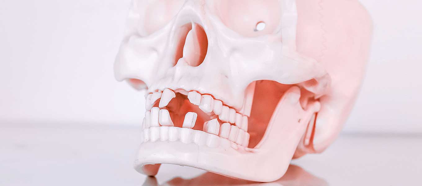 DentNet Ratgeber - Kieferschmerzen, Kieferknochen