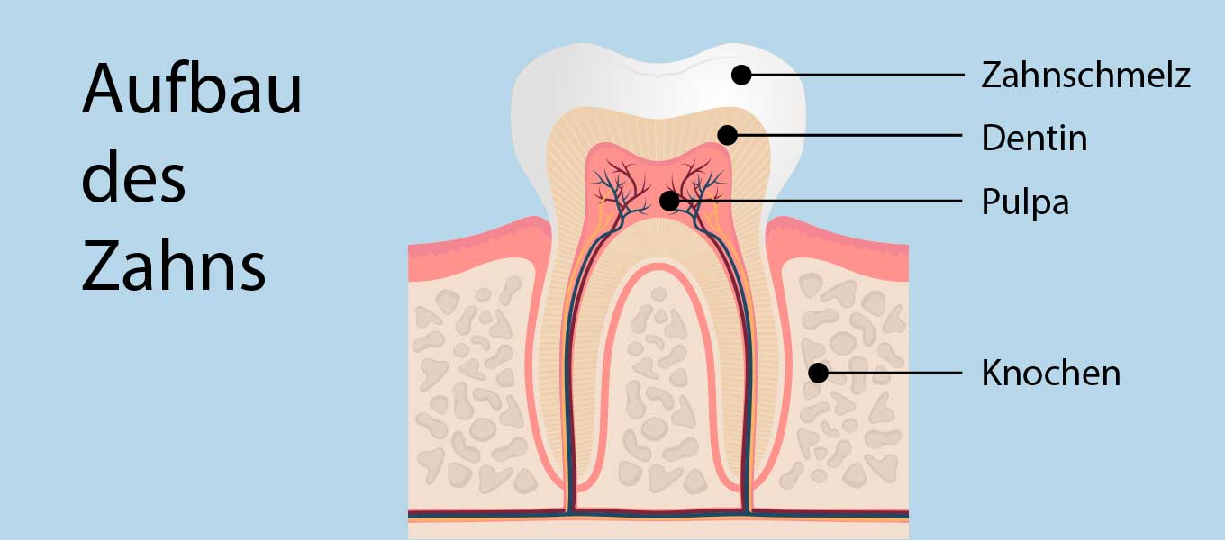 DentNet Ratgeber - Zahnschmelz
